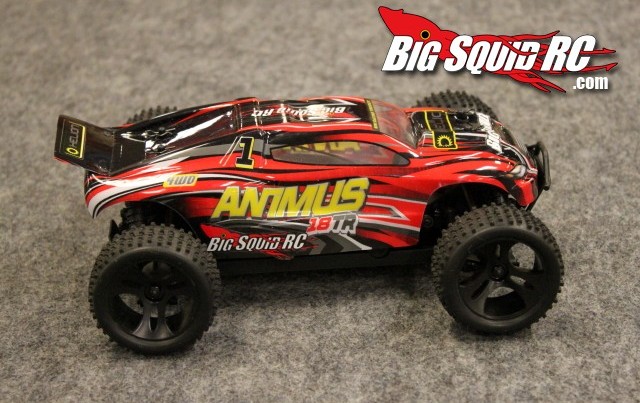 Animus rc sale car