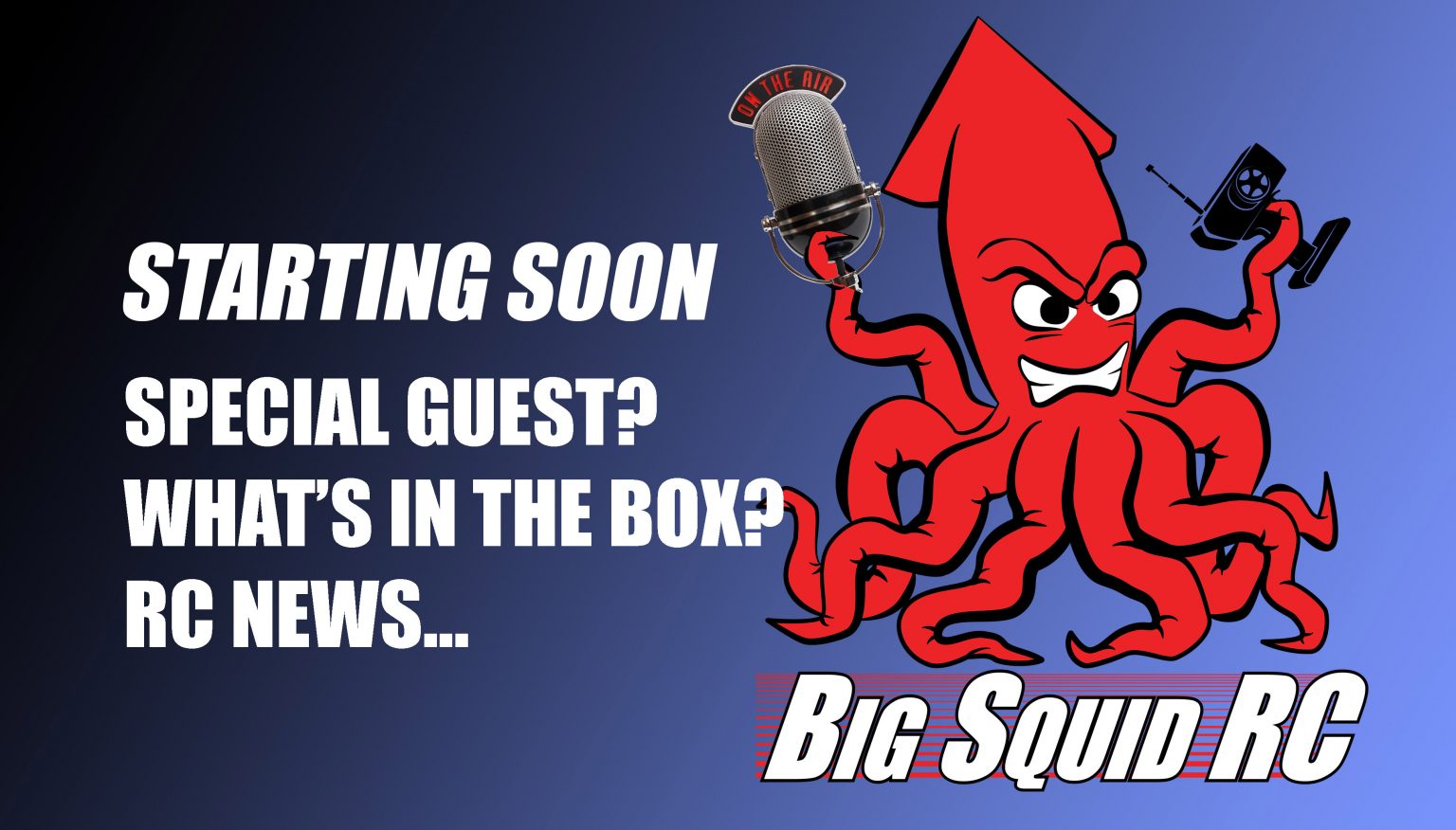 rc big squid